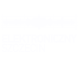 Elektroniczny Szczecin